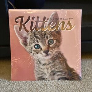 Kittens 2026 12-Month Calendar - Pink Cover